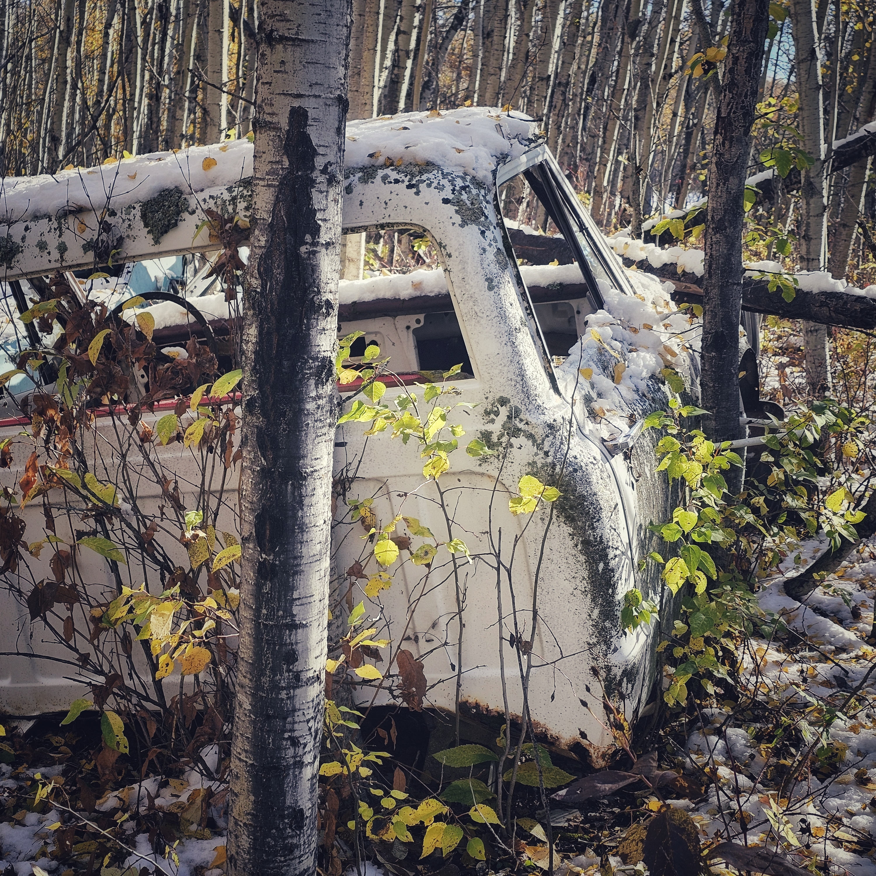 Photo by oldschool@theschoolofhardnocks.ca